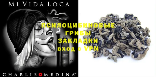 марки lsd Бородино
