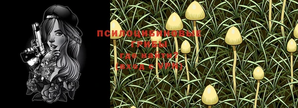 марки lsd Бородино